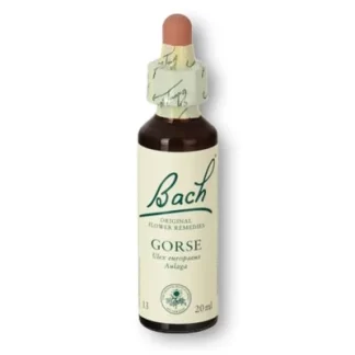 MIHERBOLARIA FLORES BACH GORSE