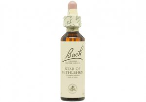 miherbolaria bach 29 star of bethlehem 20ml estrella de belen 800x800
