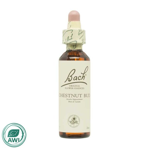 miherbolaria flor n07 chestnut bud 20ml bach