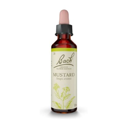 miherbolaria lores de bach mustard