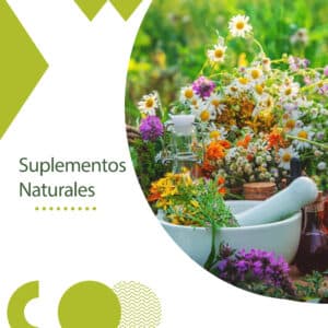 SUPLEMENTOS