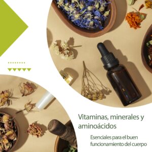 Vitaminas, minerales, aminoácidos.