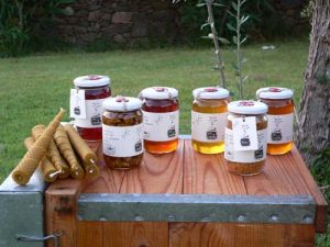 miherbolaria mielsolytierra1