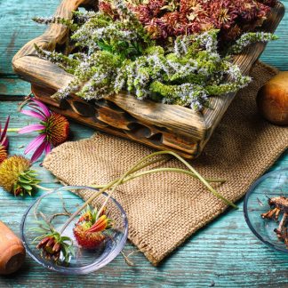 Plantas adaptógenas